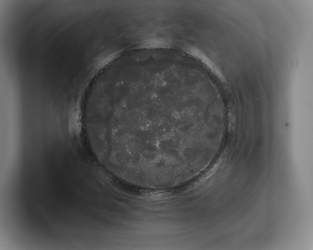 X0000101951213200807251127