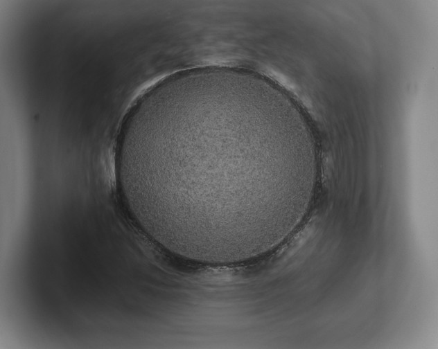 X0000101951214200807251127