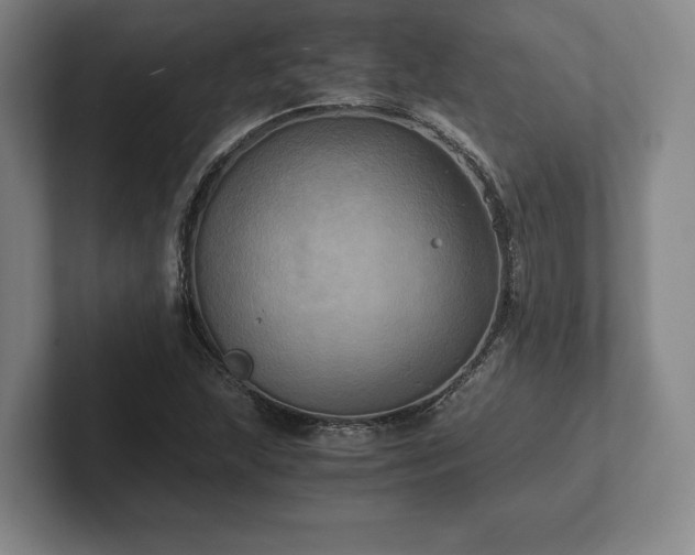 X0000101951215200807251128