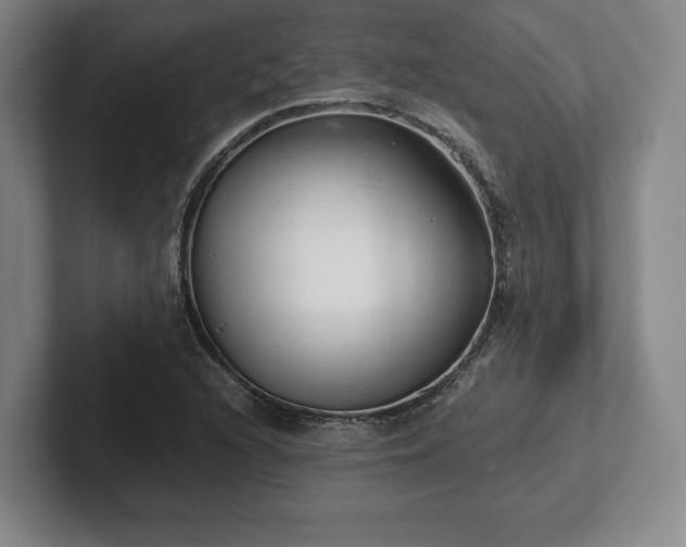 X0000101951216200807251128