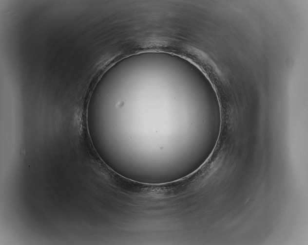 X0000101951217200807251128