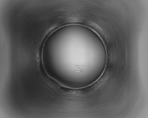 X0000101951218200807251128