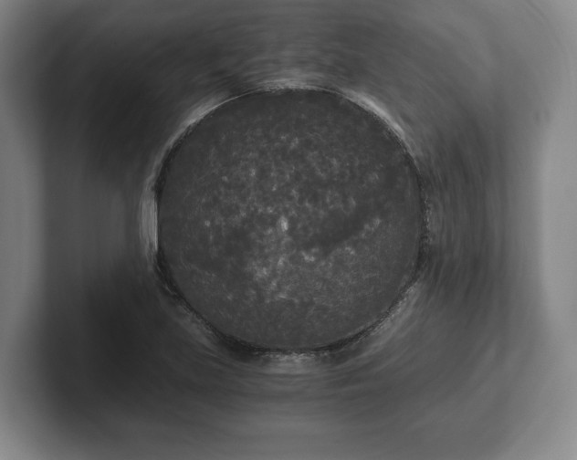 X0000101951219200807251128