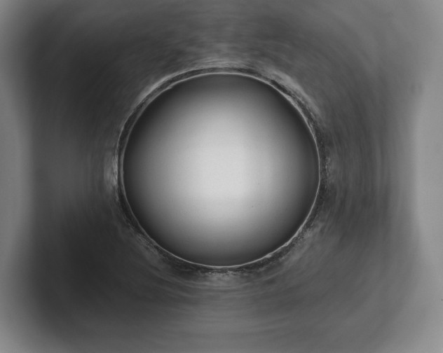 X0000101951220200807251128