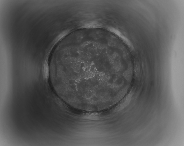 X0000101951221200807251128