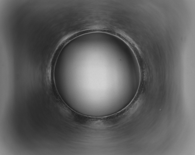 X0000101951222200807251128