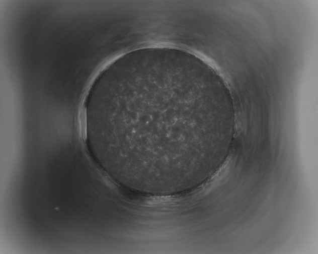 X0000101951223200807251128