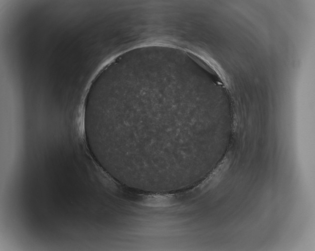 X0000101951224200807251128