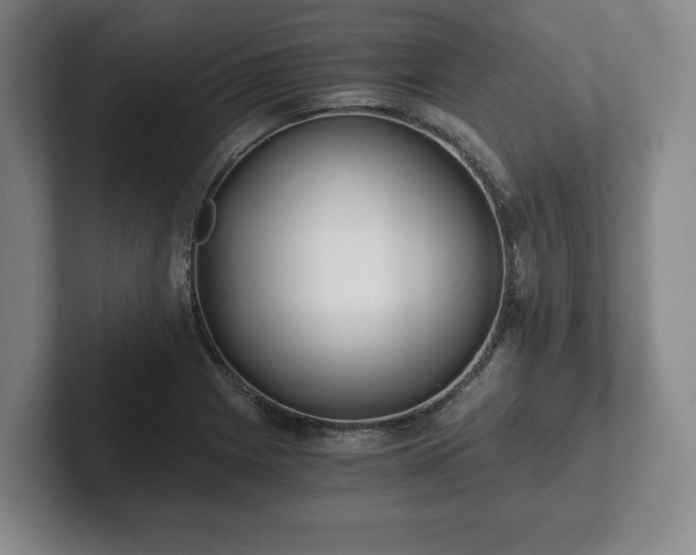 X0000101951225200807251128