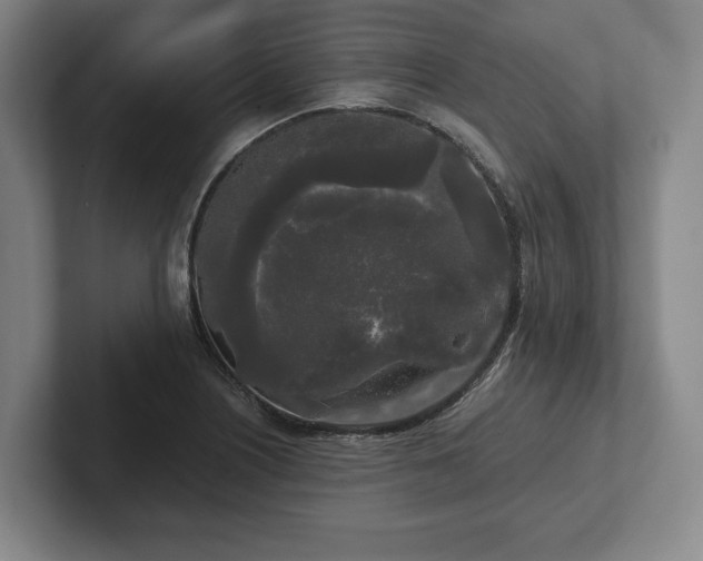 X0000101951226200807251128