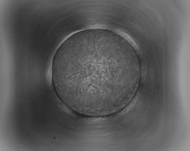 X0000101951228200807251128