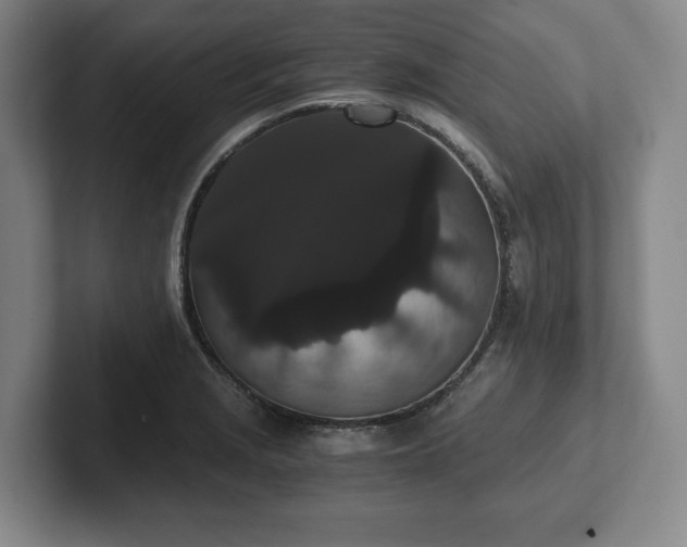 X0000101951229200807251128