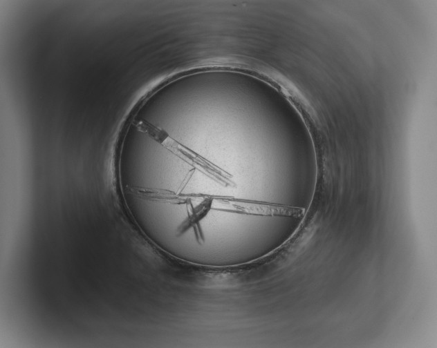 X0000101951230200807251128