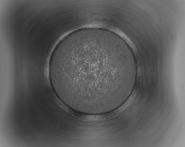 X0000101951232200807251128