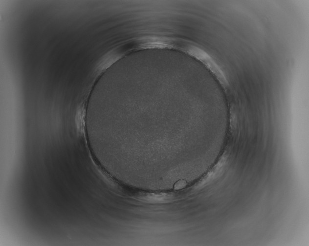 X0000101951233200807251128