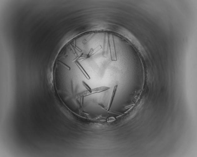 X0000101951234200807251128