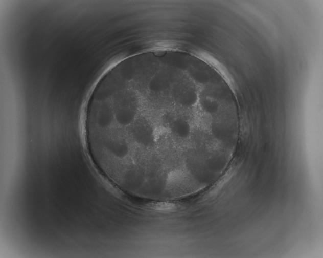 X0000101951235200807251128