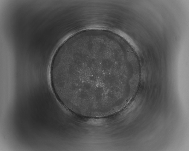 X0000101951237200807251128