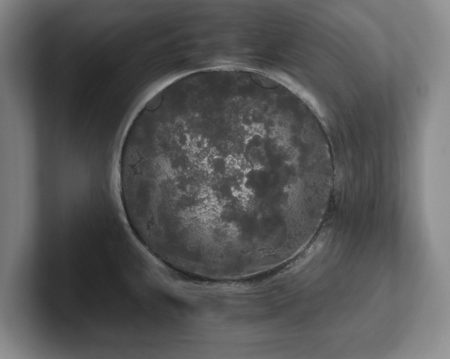 X0000101951239200807251128