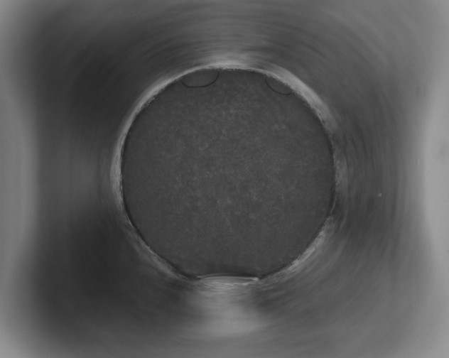 X0000101951240200807251128