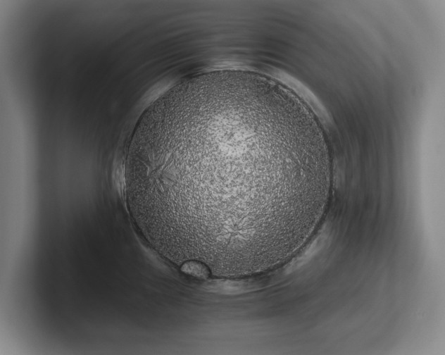 X0000101951241200807251128