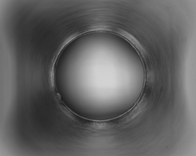 X0000101951242200807251128