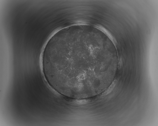 X0000101951243200807251128