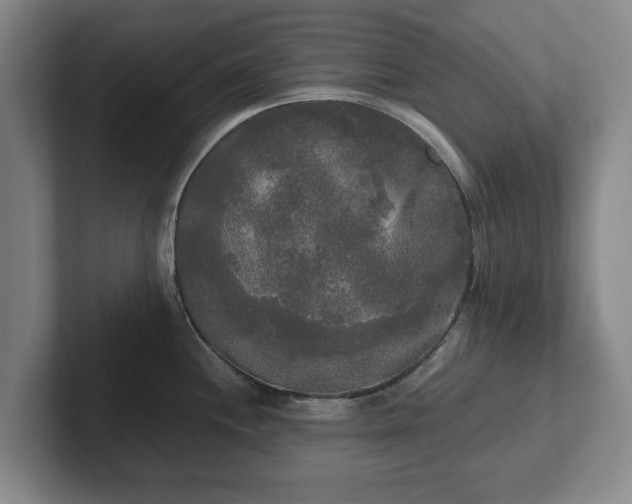 X0000101951244200807251128