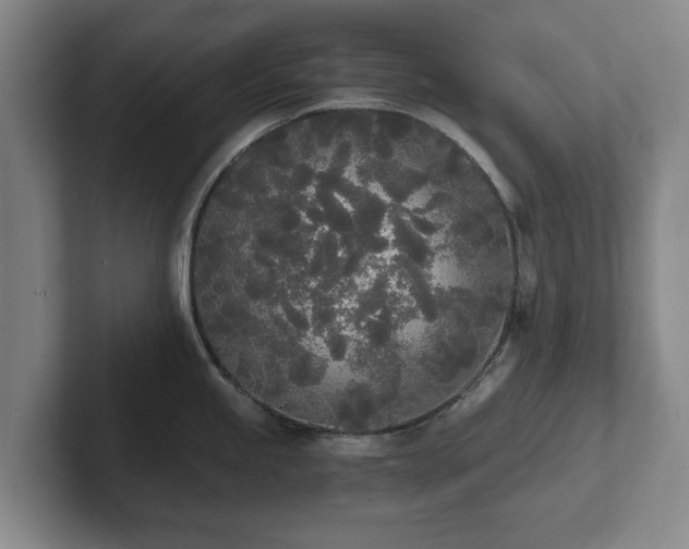 X0000101951245200807251128