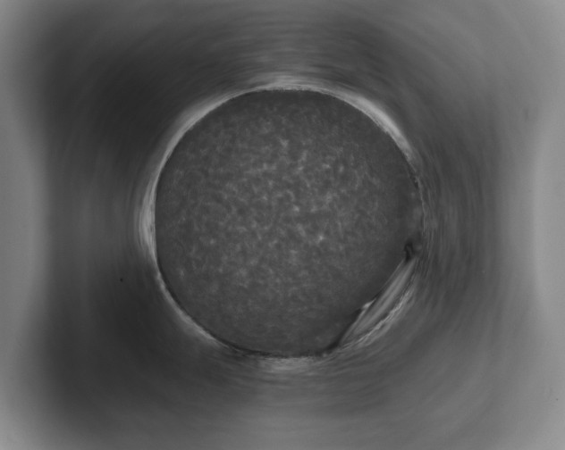 X0000101951247200807251128