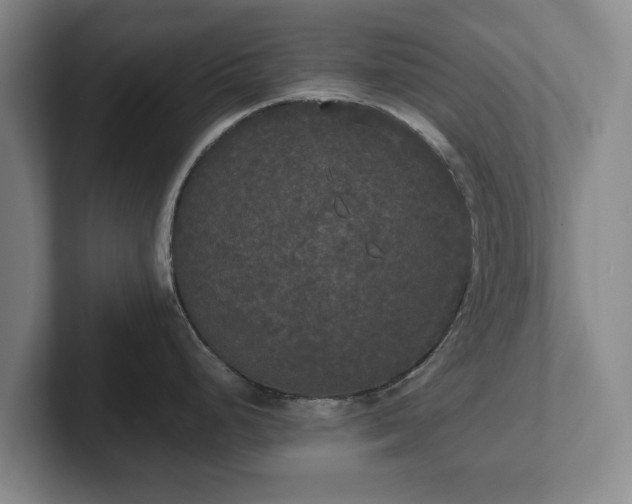 X0000101951248200807251128