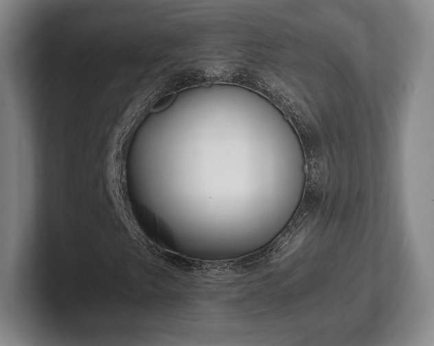 X0000101951249200807251127