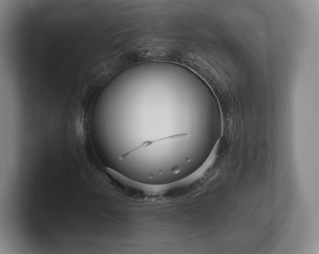 X0000101951250200807251127