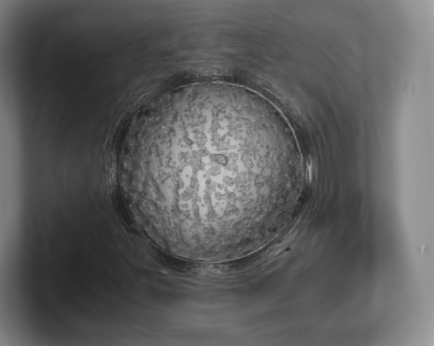 X0000101951251200807251127