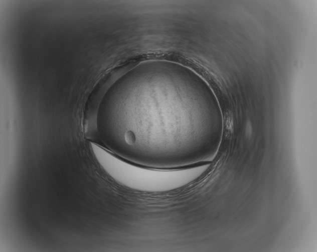 X0000101951252200807251127