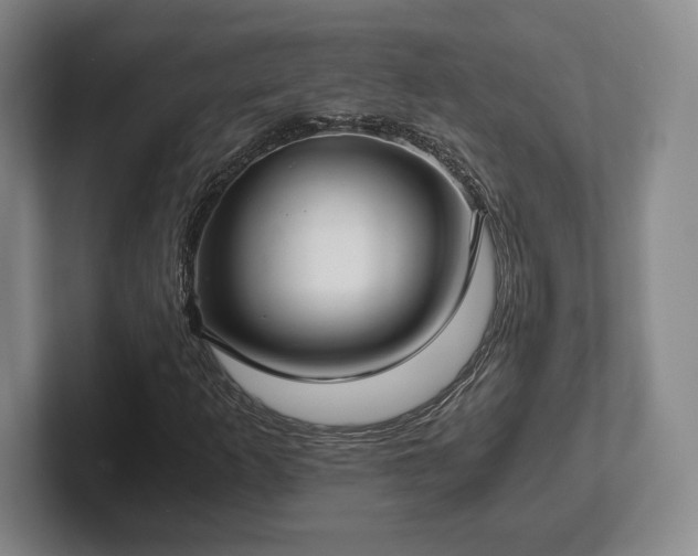 X0000101951253200807251127