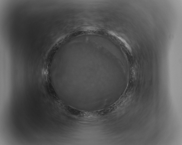 X0000101951254200807251127