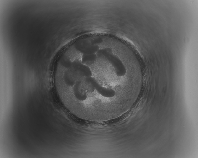 X0000101951255200807251127