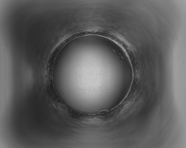 X0000101951256200807251127