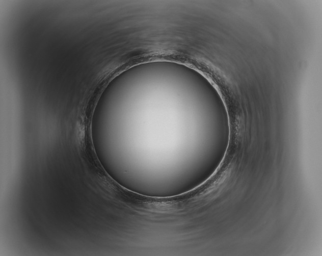 X0000101951257200807251127