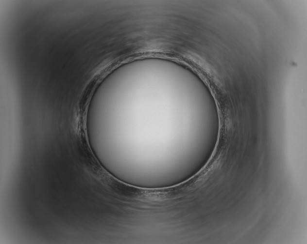 X0000101951258200807251127