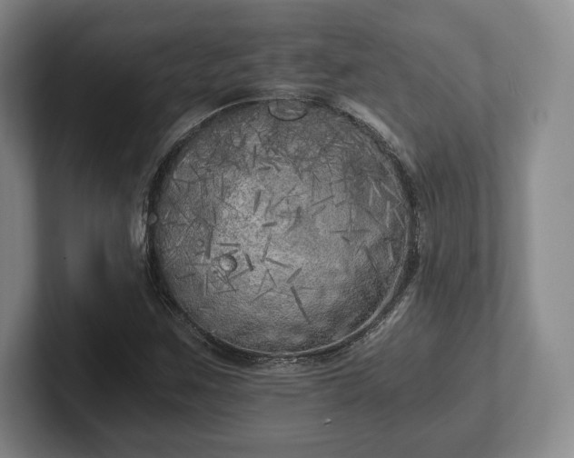 X0000101951259200807251127