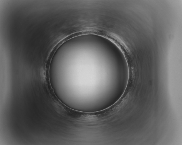 X0000101951260200807251127