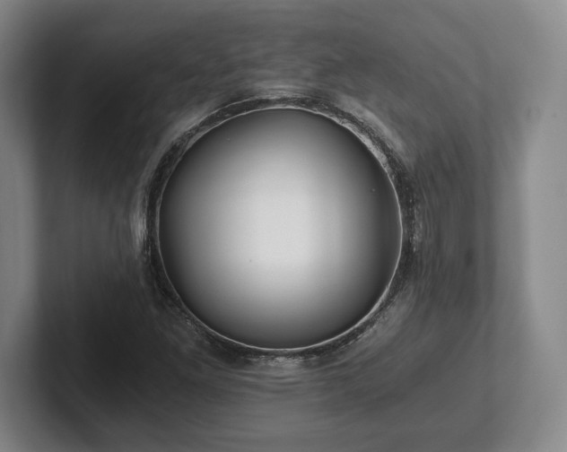 X0000101951261200807251127