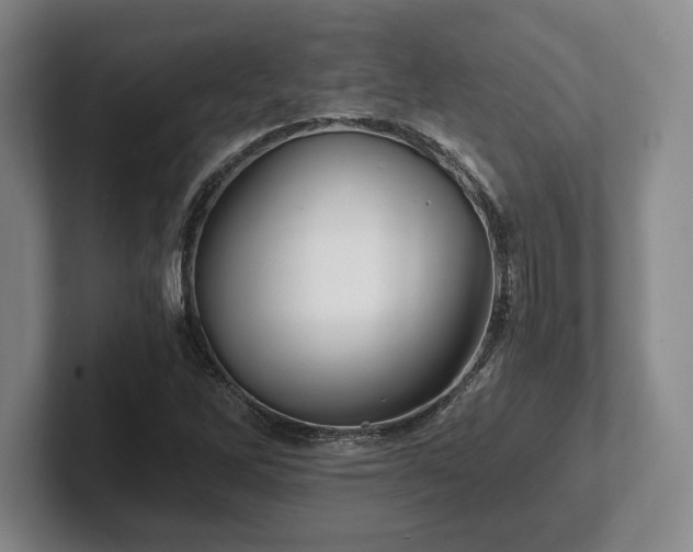 X0000101951262200807251127