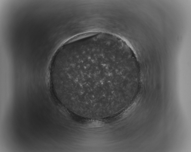 X0000101951263200807251127