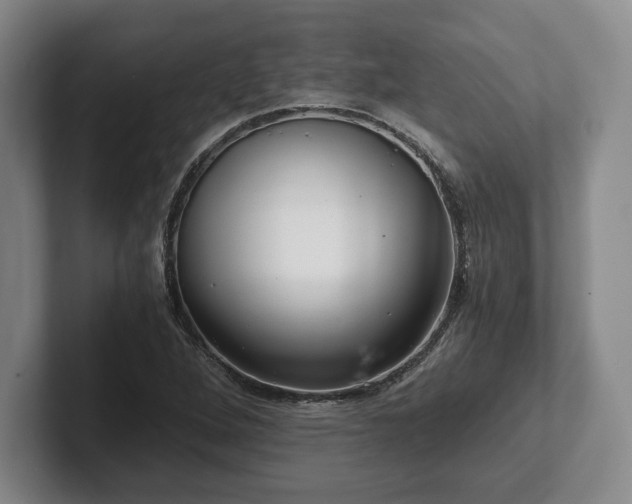 X0000101951264200807251127