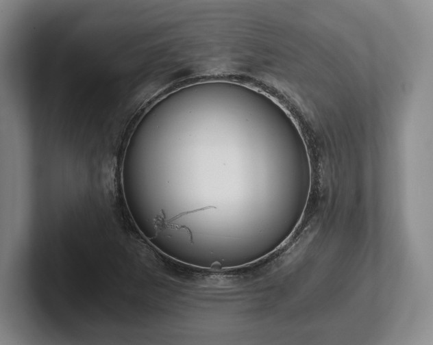 X0000101951265200807251127