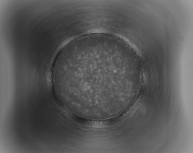 X0000101951266200807251127