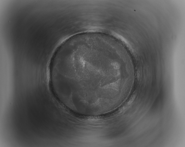 X0000101951267200807251127